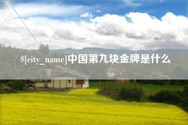 临沧中国第九块金牌是什么