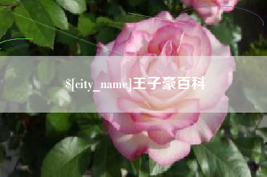 临沧王子豪百科