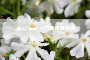 临沧中国地图像素版