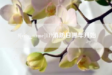 临沧119消防日哪年开始