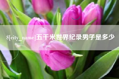 临沧五千米世界纪录男子是多少