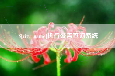 临沧执行公告查询系统