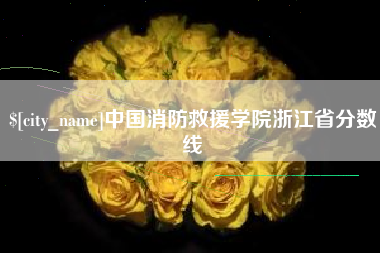 临沧中国消防救援学院浙江省分数线