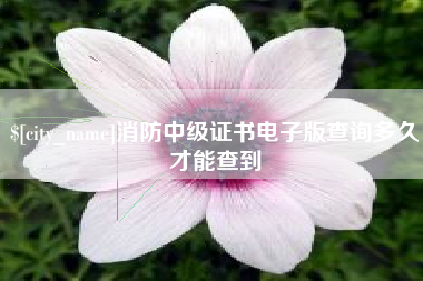 临沧消防中级证书电子版查询多久才能查到