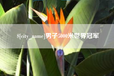 临沧男子5000米世界冠军
