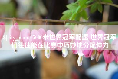 临沧5000米世界冠军配速-世界冠军们往往能在比赛中巧妙地分配体力