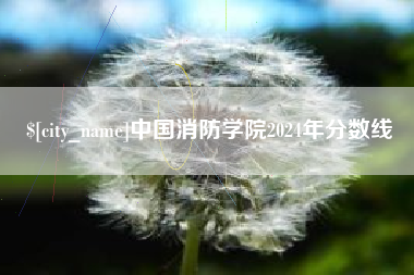 临沧中国消防学院2024年分数线