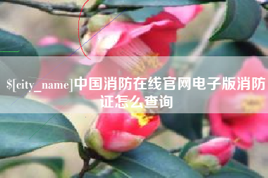 临沧中国消防在线官网电子版消防证怎么查询