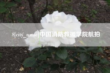 临沧中国消防救援学院航拍
