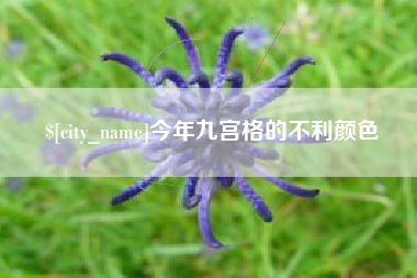 临沧今年九宫格的不利颜色