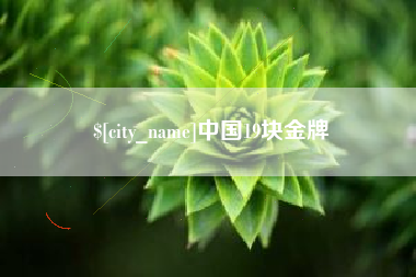 临沧中国19块金牌