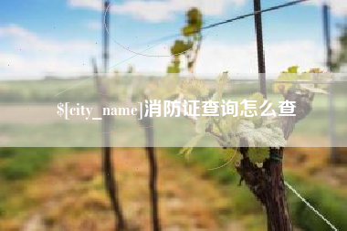 临沧消防证查询怎么查