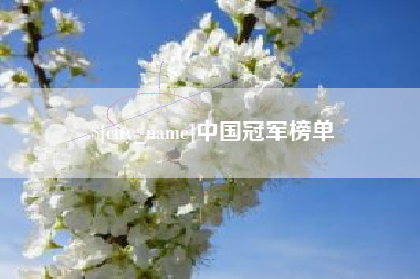临沧中国冠军榜单