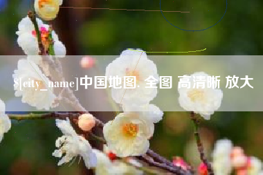 临沧中国地图. 全图 高清晰 放大