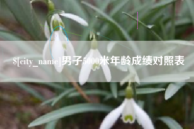 临沧男子5000米年龄成绩对照表