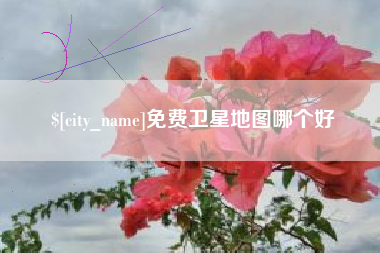 临沧免费卫星地图哪个好