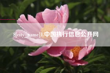 临沧1.中国执行信息公开网