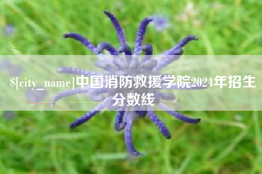 临沧中国消防救援学院2024年招生分数线