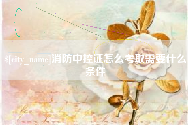 临沧消防中控证怎么考取需要什么条件