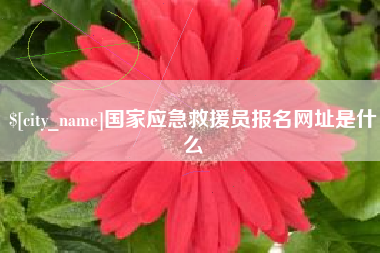 临沧国家应急救援员报名网址是什么
