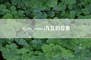 临沧九宫的位置