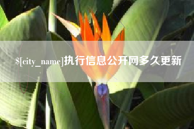 临沧执行信息公开网多久更新