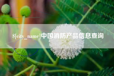 临沧中国消防产品信息查询