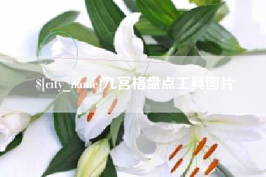 临沧九宫格盘点工具图片
