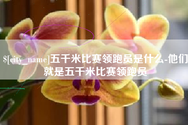 临沧五千米比赛领跑员是什么-他们就是五千米比赛领跑员