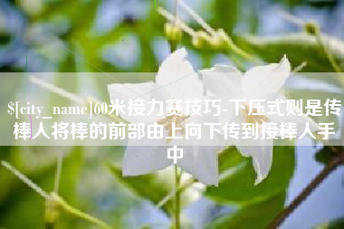临沧60米接力赛技巧-下压式则是传棒人将棒的前部由上向下传到接棒人手中