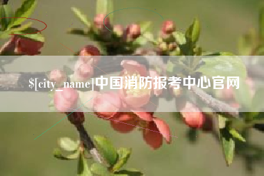 临沧中国消防报考中心官网