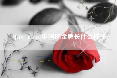 临沧中国的金牌长什么样子