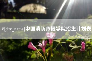 临沧中国消防救援学院招生计划表