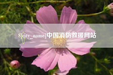 临沧中国消防救援网站