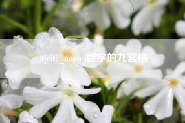 临沧数字的九宫格