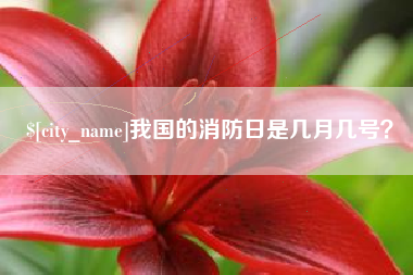 临沧我国的消防日是几月几号？