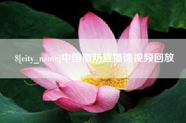 临沧中国消防直播课视频回放