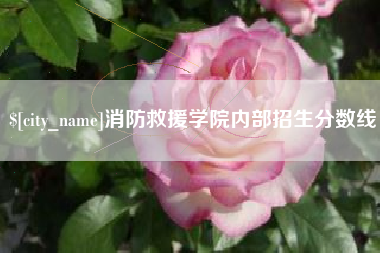 临沧消防救援学院内部招生分数线
