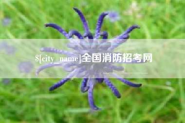 临沧全国消防招考网