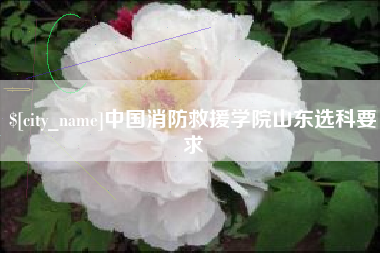 临沧中国消防救援学院山东选科要求