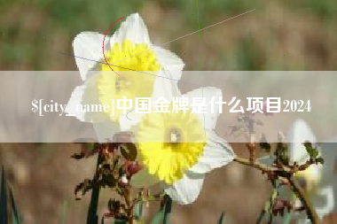临沧中国金牌是什么项目2024