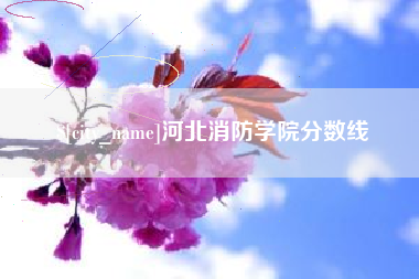 临沧河北消防学院分数线