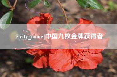 临沧中国九枚金牌获得者