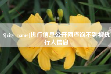 临沧执行信息公开网查询不到被执行人信息