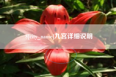 临沧九宫详细说明