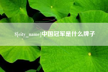 临沧中国冠军是什么牌子