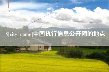 临沧中国执行信息公开网的地点