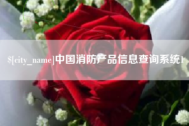 临沧中国消防产品信息查询系统1