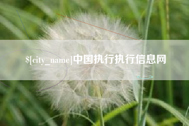 临沧中国执行执行信息网