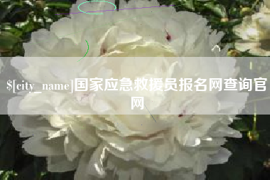 临沧国家应急救援员报名网查询官网